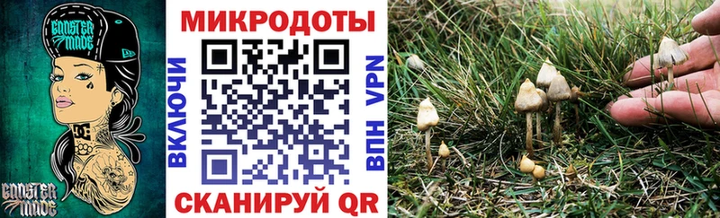 закладки  Славгород  mega как войти  Псилоцибиновые грибы ЛСД 